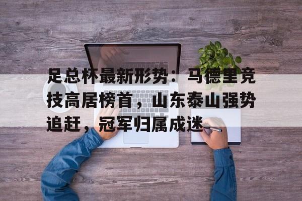 足总杯最新形势：马德里竞技高居榜首，山东泰山强势追赶，冠军归属成迷的简单介绍